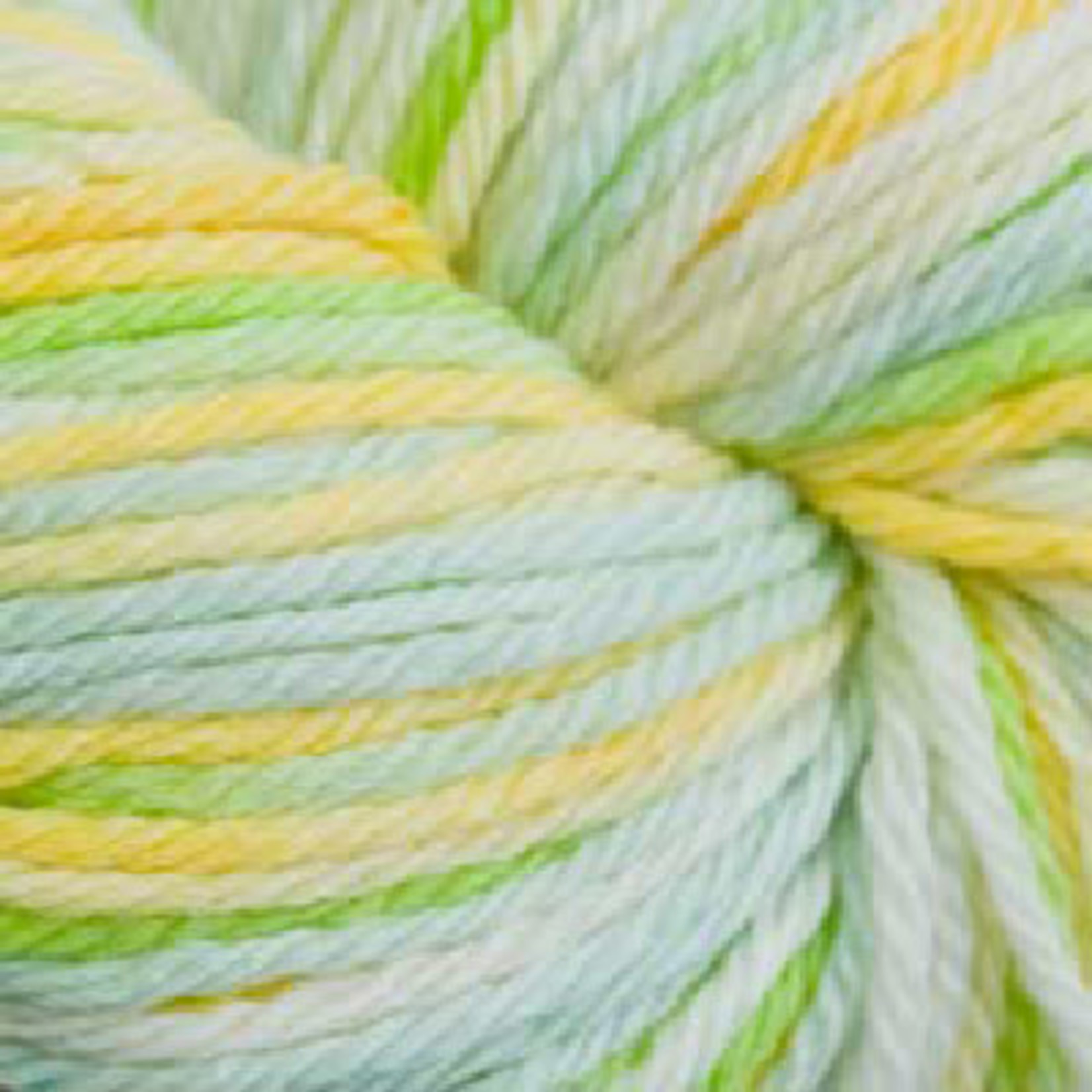 Cascade Yarns 220 Sport Multi