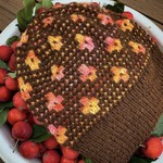 Yarn Twisters Mosaic Knitting - Pressed Flowers Hat