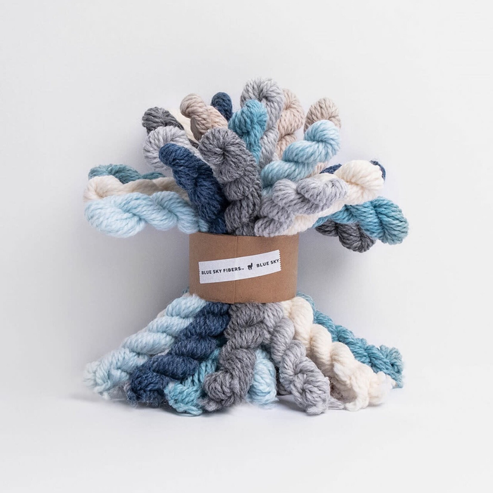 Blue Sky Fibers Woolstok Bundle Kit