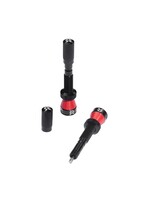 Paire de Valves Tubeless Reserve Fillmore