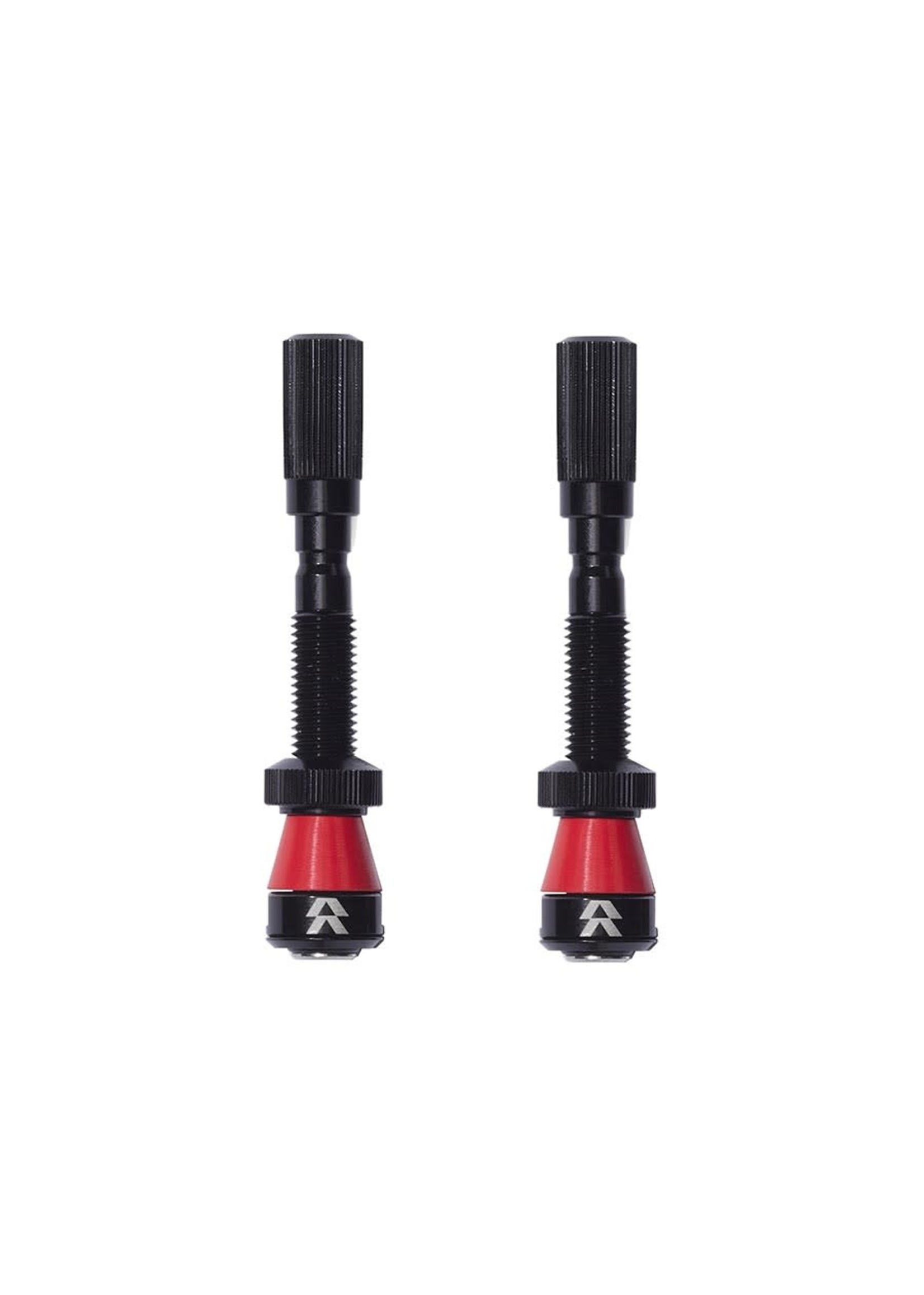 Paire de Valves Tubeless Reserve Fillmore