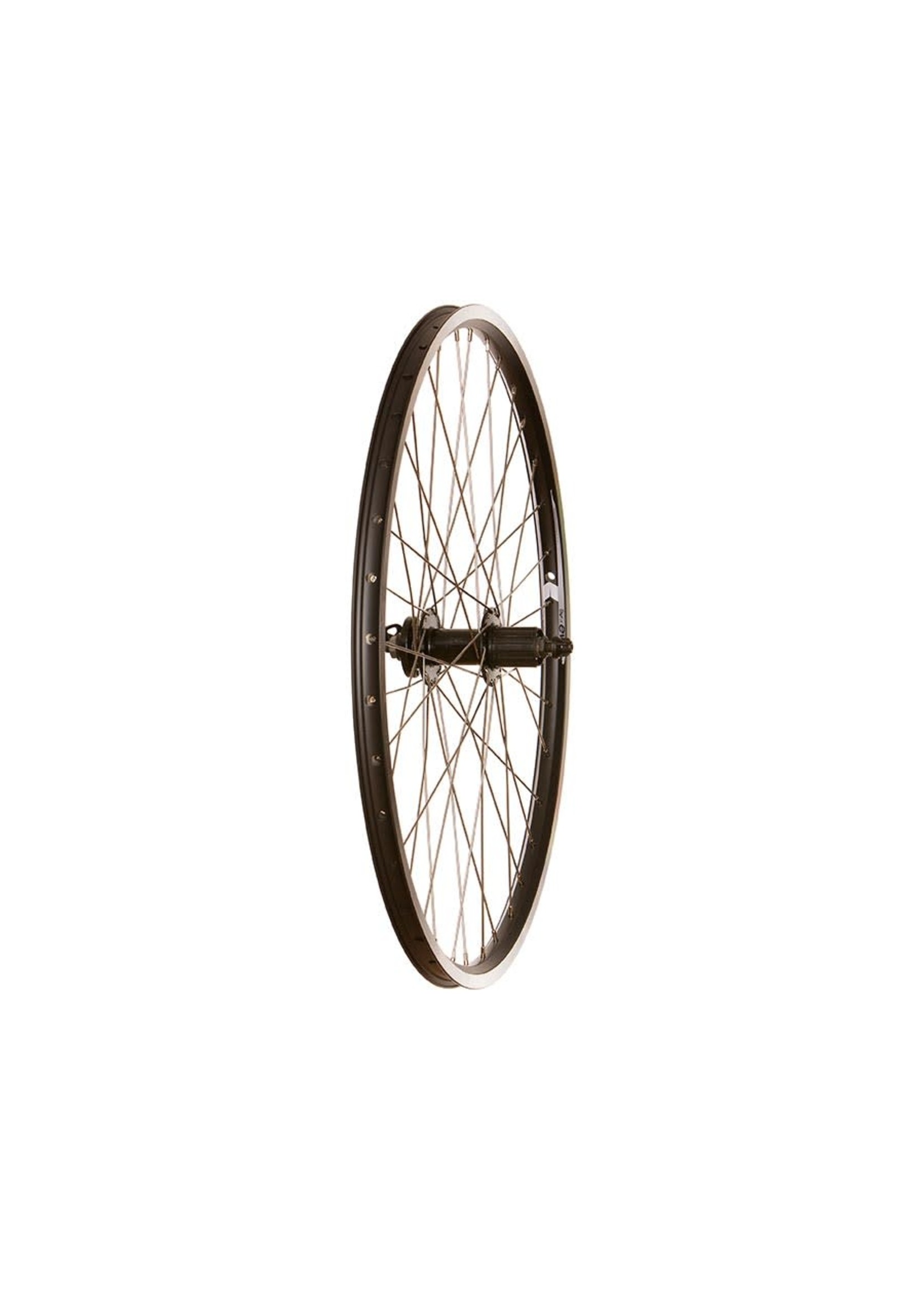 Roue Arrière 26" Evo Tour 19 Moyeu Scellé Disque IS, Shimano HG