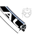 Alexrims Roue Arrière 700C, Jante  Alexrims R-450 Noire, Moyeu Joytech Flipflop, Rayons DT Champion