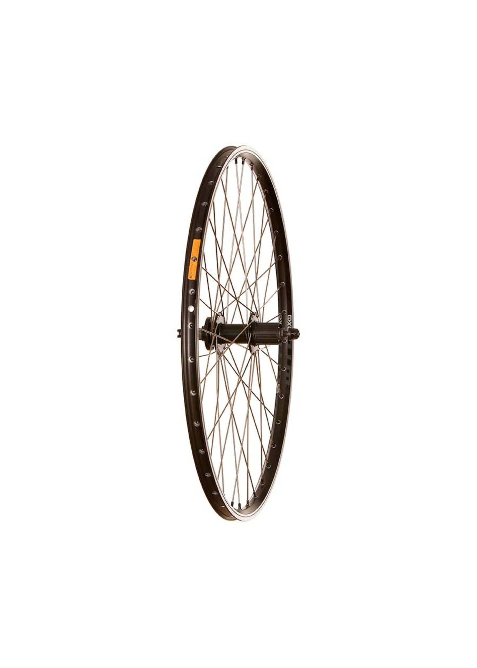 Roue Arrière 26" Jante WTB DX18, Moyeu Shimano HG, Rayon Sapim Inox