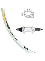Alexrims Roue Arrière 700C, Jante Alexrims DM18 Argent, Moyeu Joytech Roue-Libre Boulonné, 36 Rayons DT Champion Argent