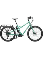 Surly Vélo Cargo Surly Skid Loader Vert Sourire Illégal