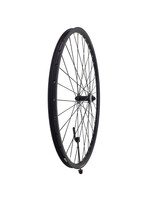 Damco Roue Avant 700C/29", Jante Damco Disque, Moyeu Shimano HB-RM65, 36 Rayons Inox noirs