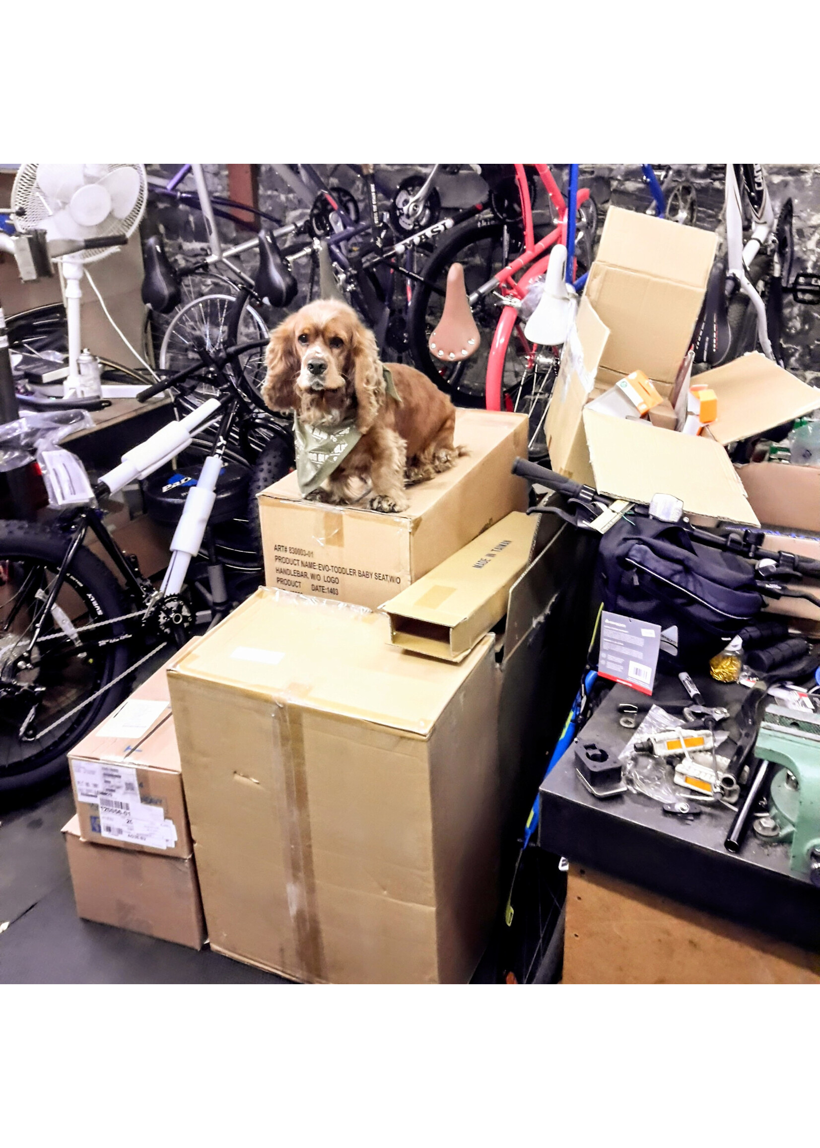 Gros Vélo Entretien Général