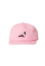 STAPLE PINK Pigeon 6 Panel Cap