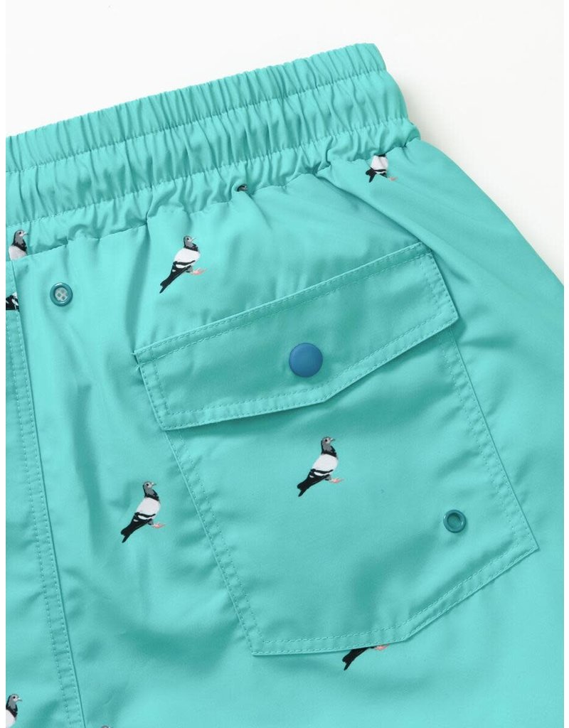 STAPLE TEAL ALL OVER PIGEON NYLON SHORTS