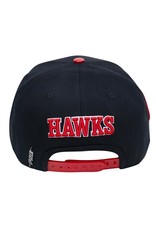 Pro Standard ATLANTA HAWKS LOGO SNAPBACK HAT – Area Fifty Seven