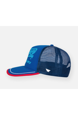 PAPER PLANES BY ROC NATION BL Planes Greatness Trucker Hat