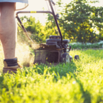 Landscaping & Snow Removal