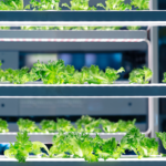 Grow Lights & Soil Sensors