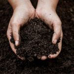 Soil & Soil Ammendments