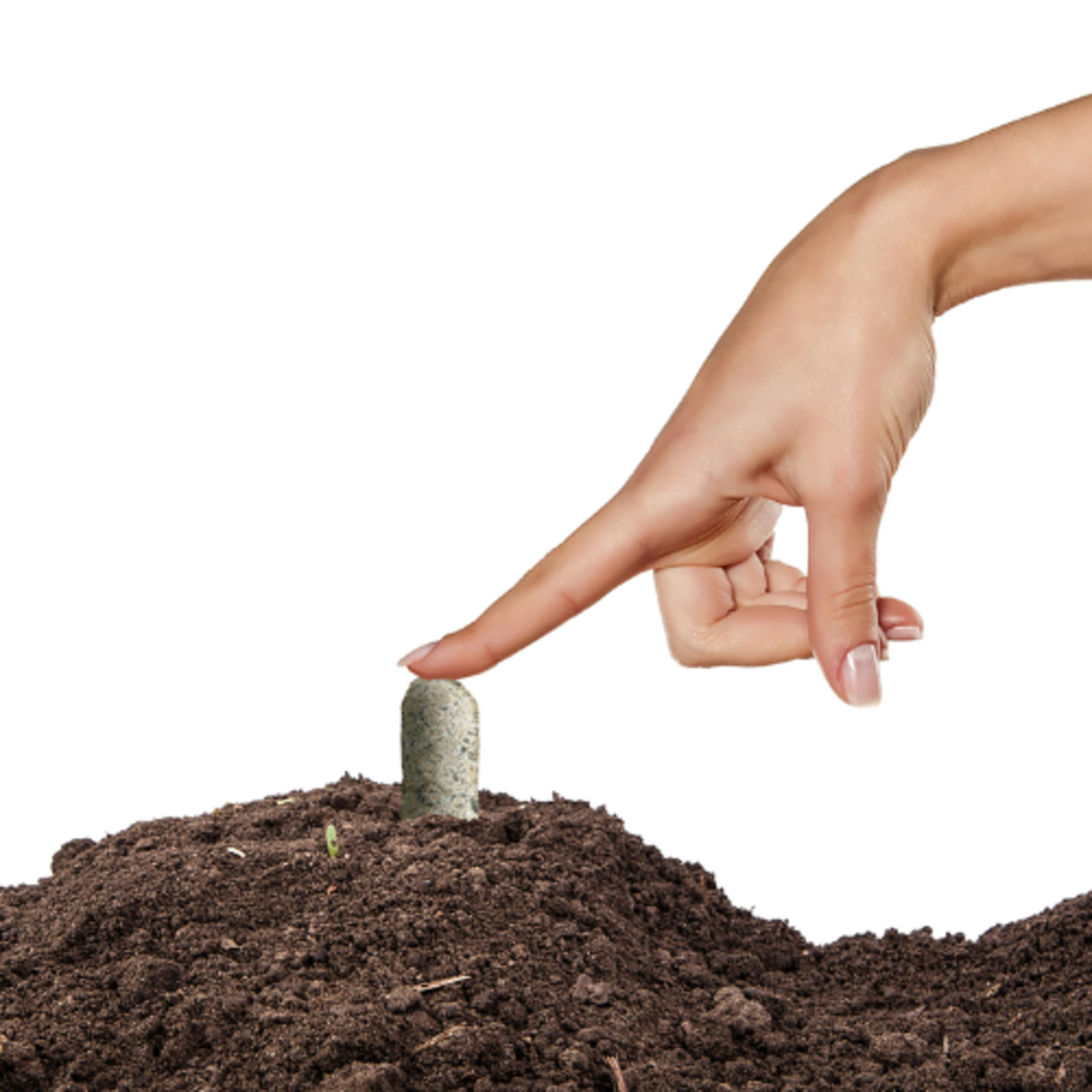 Jobes Fertilizer Spikes - Tree & Shrub Spikes - 15-3-3 - 5pk