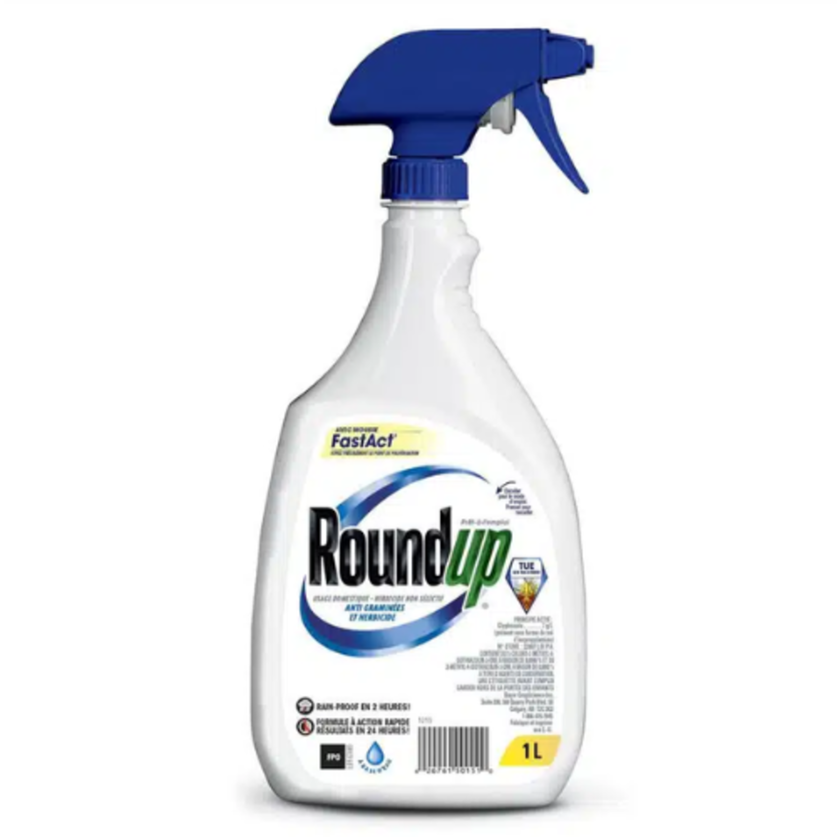RoundUp - Grass and Weed Control w/FastAct Foam - RTU - 709ml