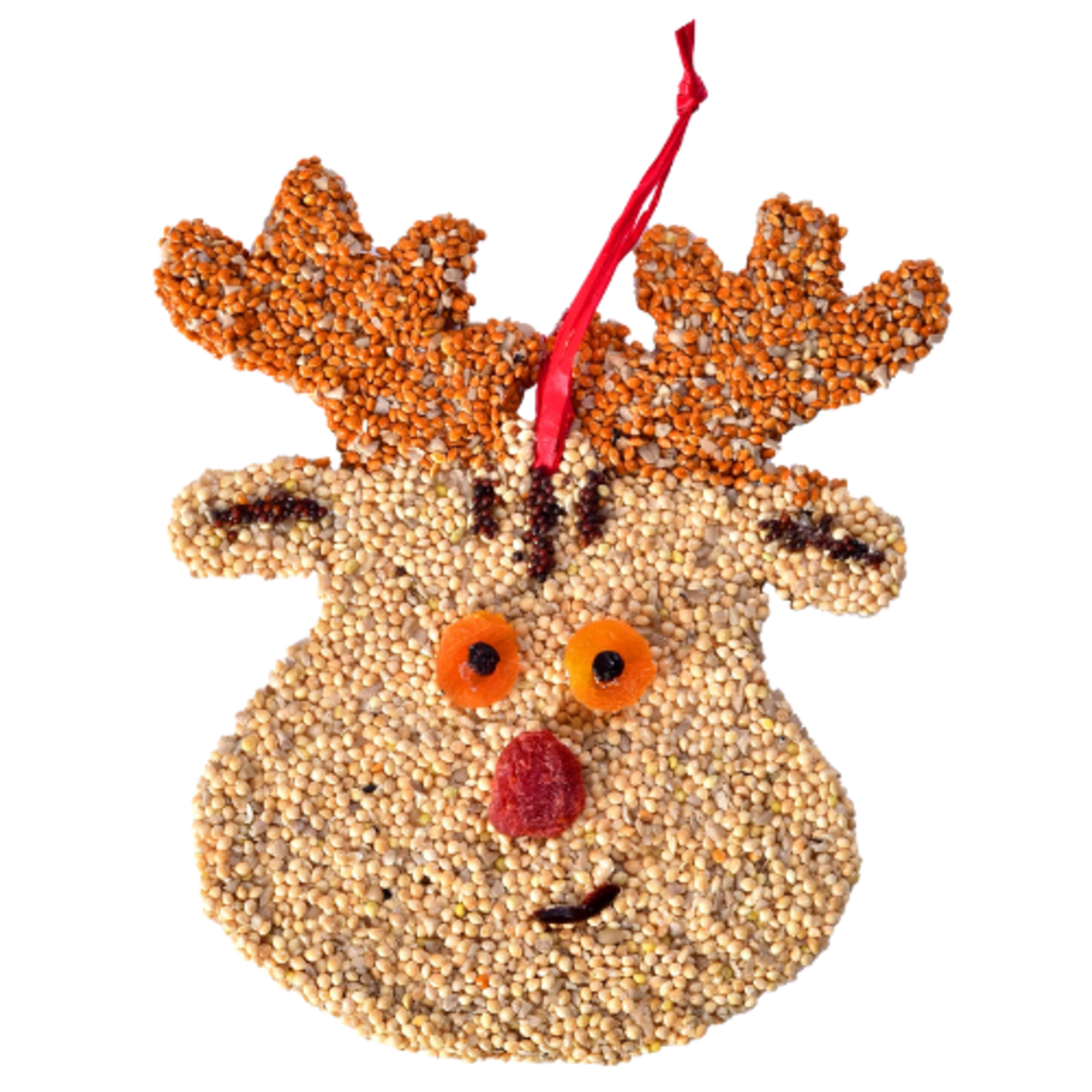 Mr Bird Rudolph Christmas Cookie