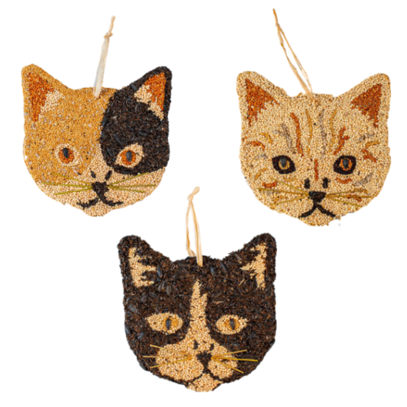 Mr Bird Cat Cookie