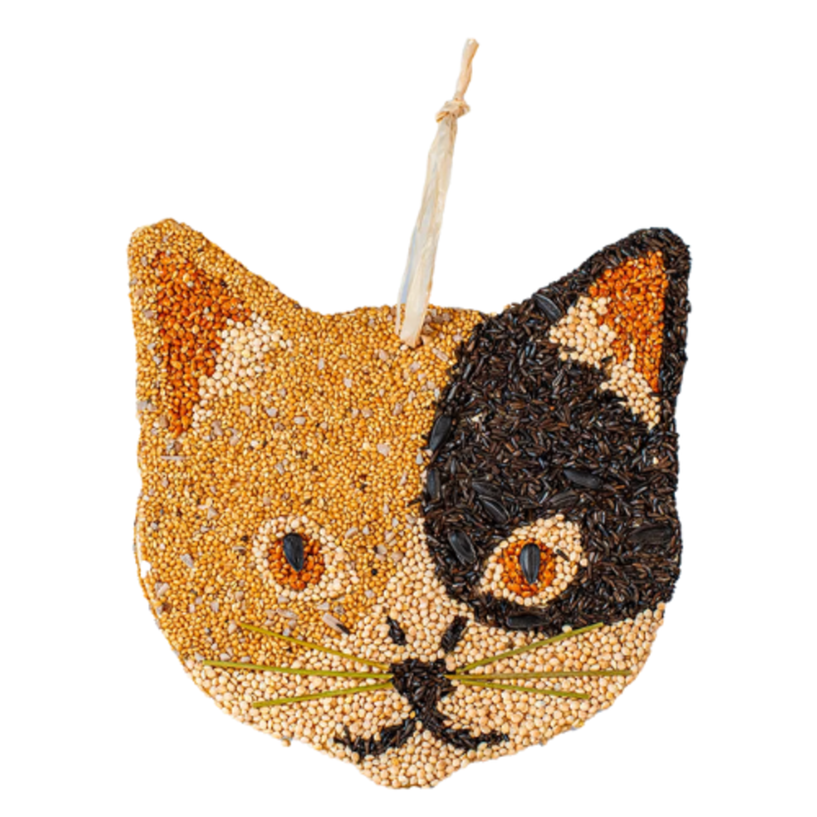 Mr Bird Cat Cookie
