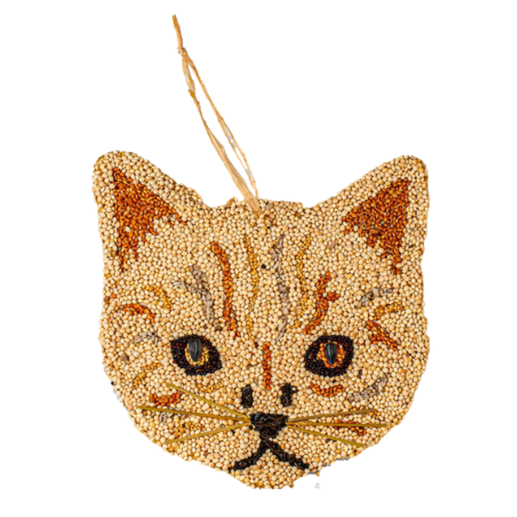 Mr Bird Cat Cookie