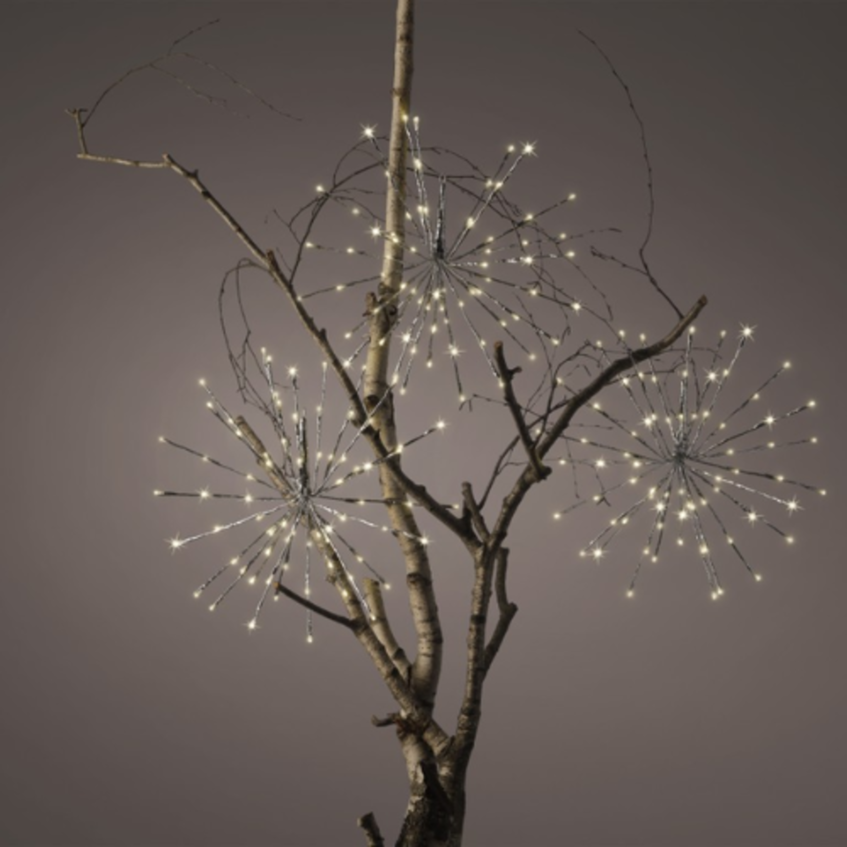 Lumineo - Tree PoleStar - 432 LED - 72 Branch