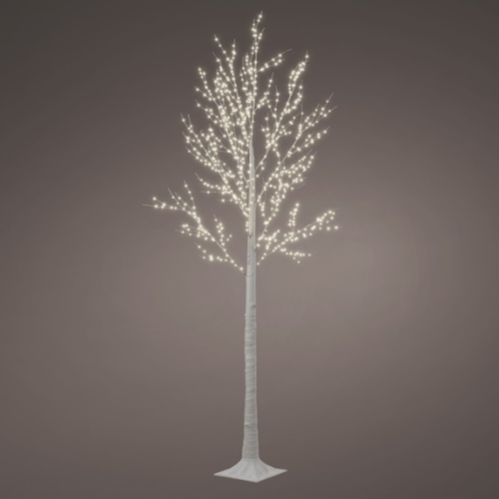 Lumineo LED Pre-lit Birch Tree 240cm