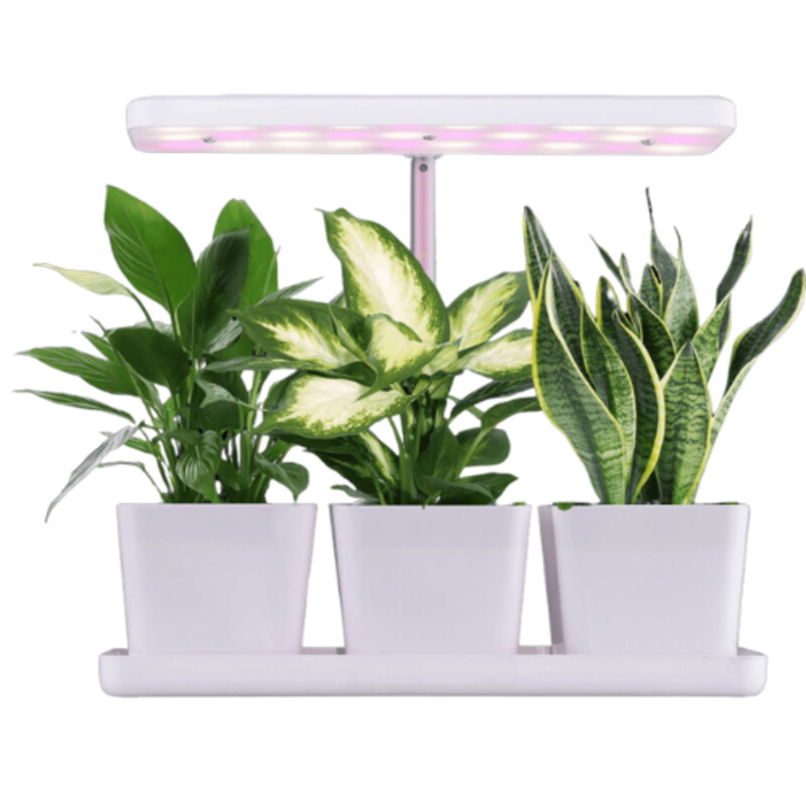 "I" Shape LED Grow Light w/ 3 Pots, Wire Controller, Adaper - 10w