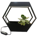 Hexagon LED Grow Light w/ Adapter 12W