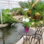 Where to Find The Secret Garden