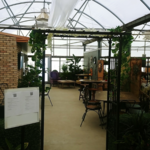 Our Cafe