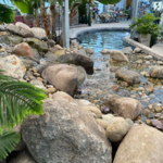 The Leaves and Literature Book Club