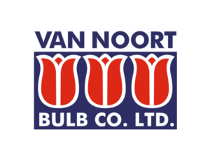 Van Noort