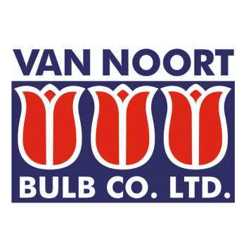 Van Noort Bulbs
