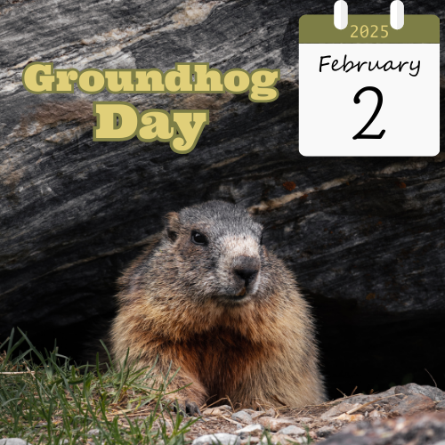 2025 Groundhog Day