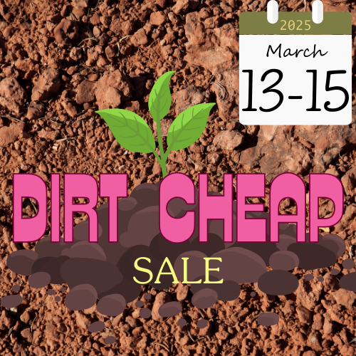 2025 Dirt Cheap Sale