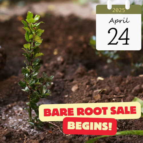 2025 Bare Root Sale