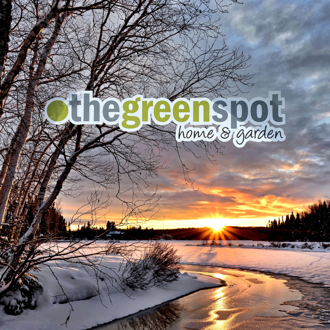 Last Chance for Christmas Sale