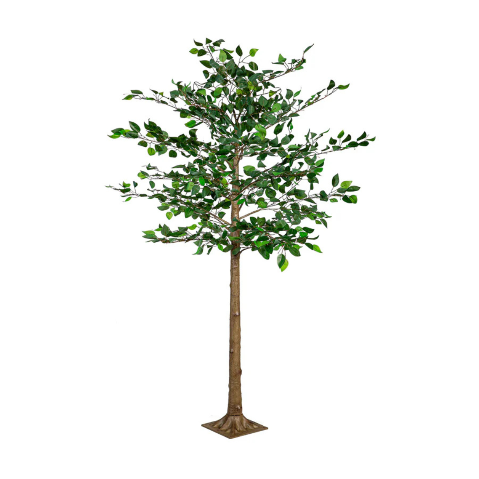 Evergreen Enterprises Indoor/Outdoor LED Ficus Tree 6'