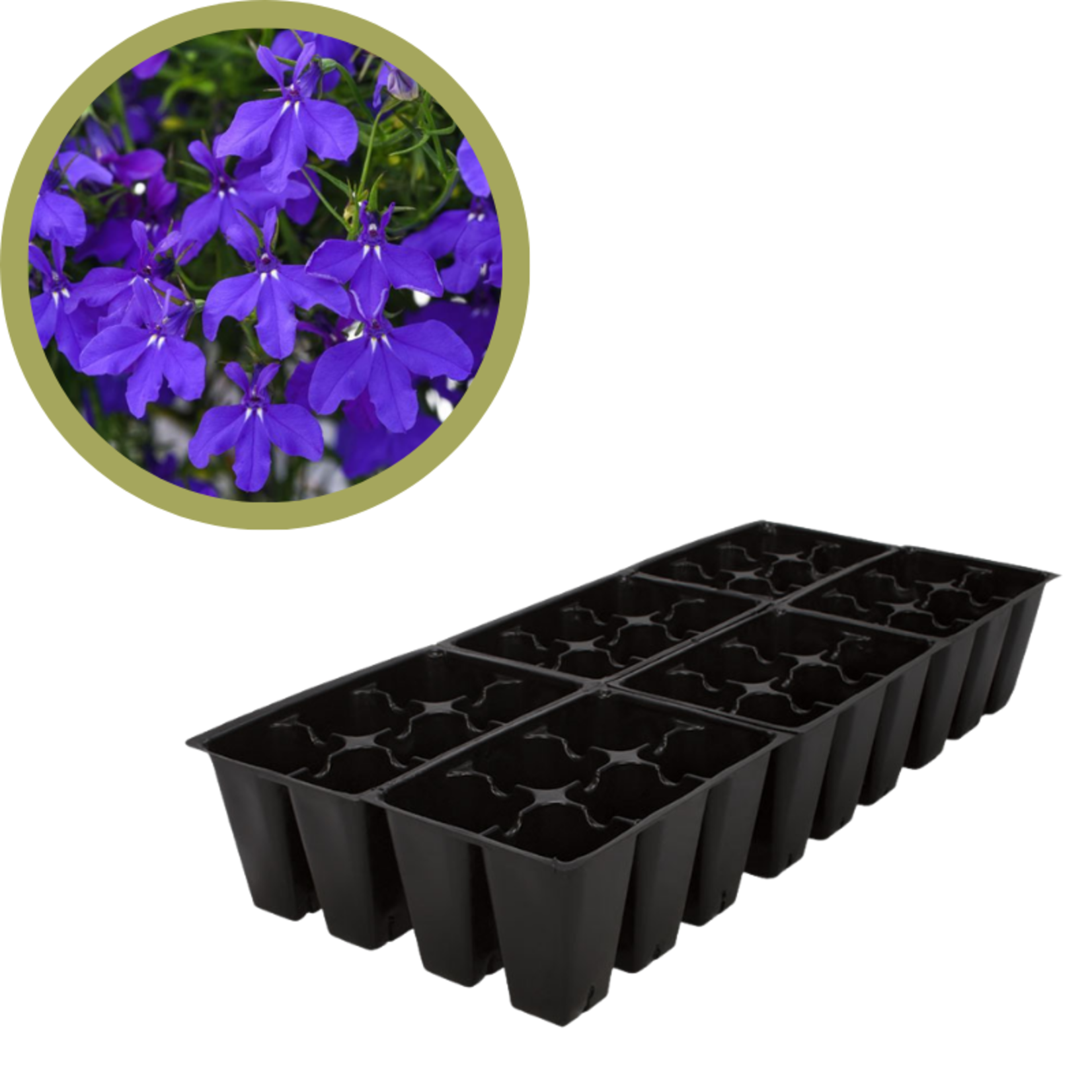 Green Spot Wholesale Order Request - Annual Flowers in 606 Tray