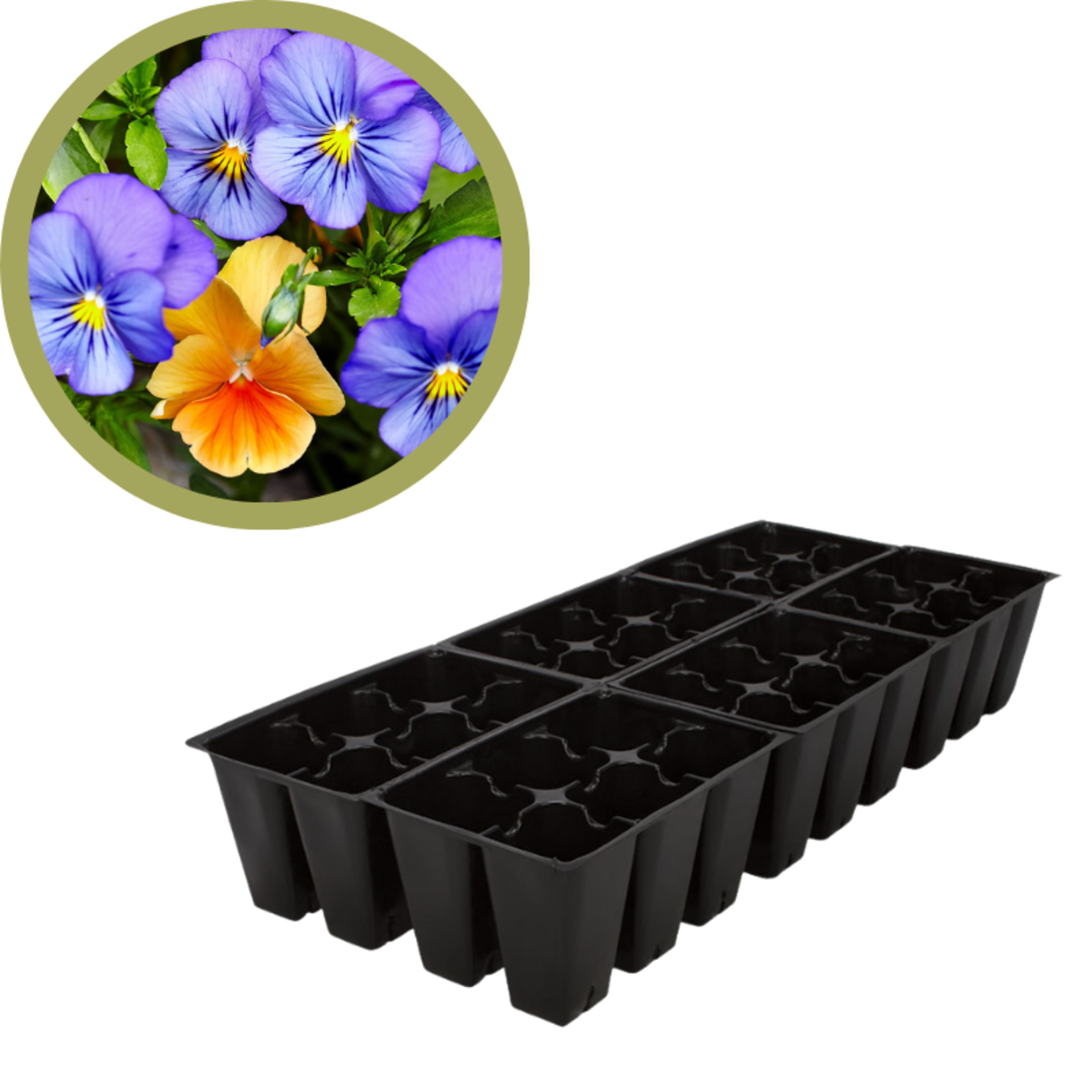 Green Spot Wholesale Order Request - Annual Flowers in 606 Tray