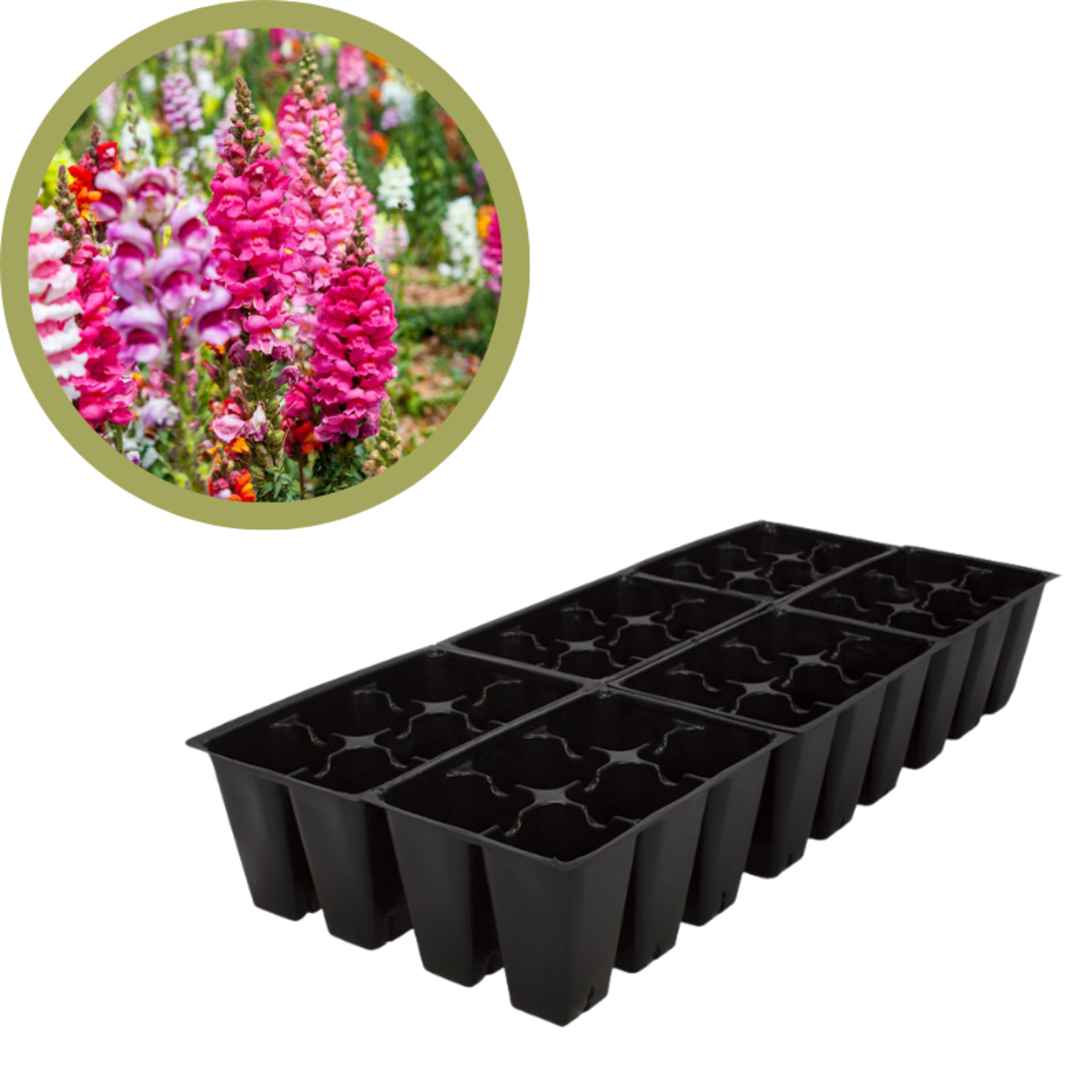 Green Spot Wholesale Order Request - Annual Flowers in 606 Tray