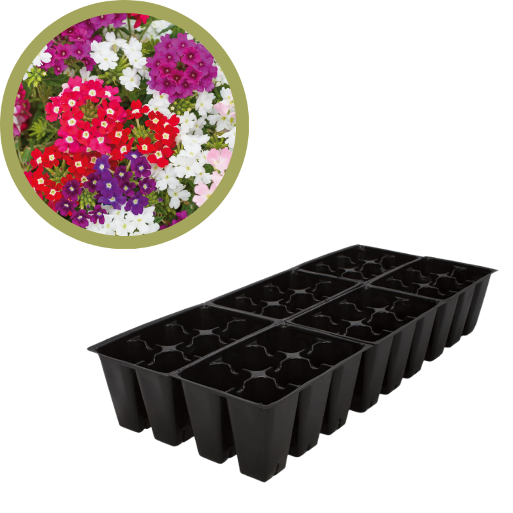 Green Spot Wholesale Order Request - Annual Flowers in 606 Tray