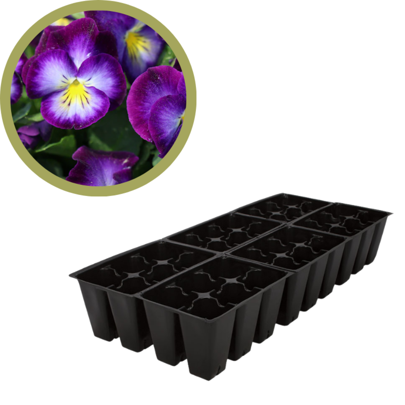 Green Spot Wholesale Order Request - Annual Flowers in 606 Tray