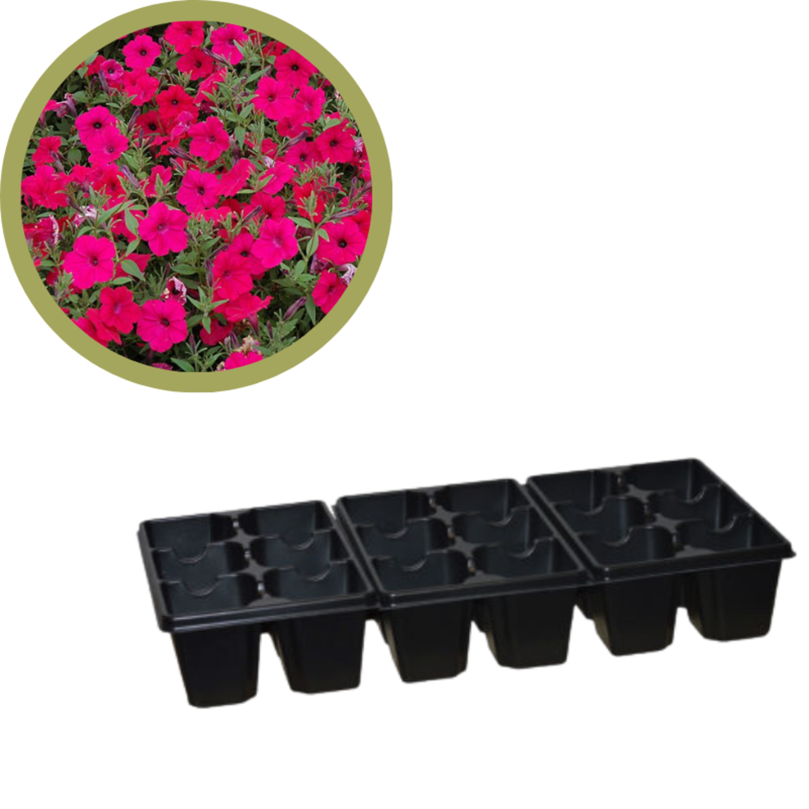 Green Spot Wholesale Order Request - Annual Flowers in 306 Tray