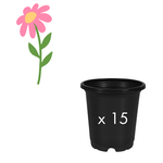 Order Request - Annual Fillers in 4" Co-ex Pot