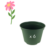 Green Spot Wholesale Order Request - Annual Flowers in 6" Azalea Pot