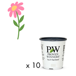 Order Request - Annual Flowers in 4.5" Proven Winners