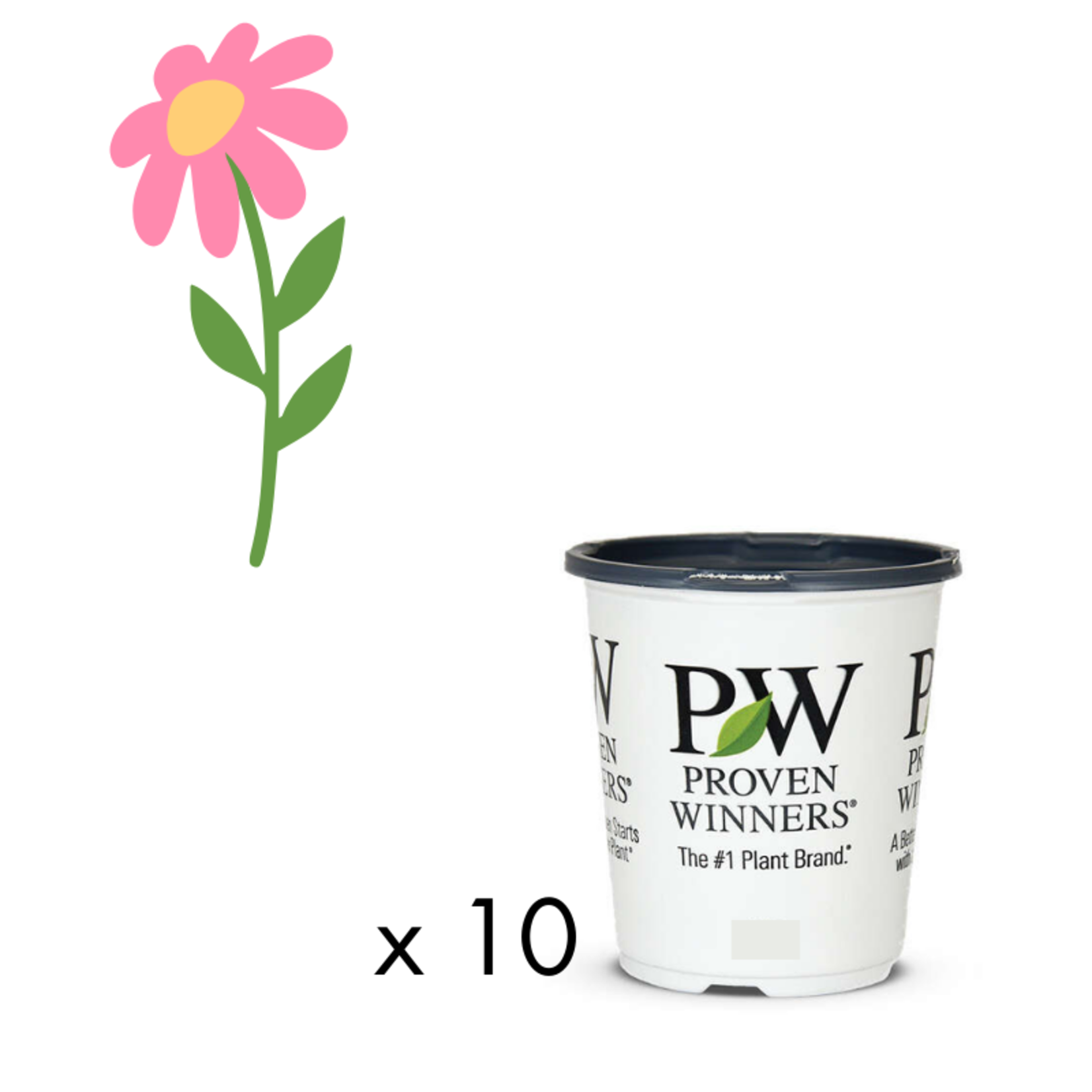 Green Spot Wholesale Order Request - Annual Flowers in 4.5" Proven Winners