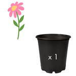 Green Spot Wholesale Order Request - Annual Specialty Flowers in #01 Gallon Euro Pot